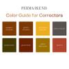 Perma Blend - Pumpkin Corrector - Tattoo Ink Pigment Corrector in Light Orange/Yellow to Correct Purple/Blue Color - Microblading Ink - Vegan (0.5 oz) view 4
