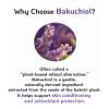 Korean Bakuchiol Concentrate Mix 2 Drops In Any Step of Your Skin Care Routine Retinol Alternative Non GMO Vegan Certificate Safe Natural Botanical Antioxidant Cold Pressed 10000ppm 30ml view 3