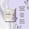 NATURE WELL Lavender Smooth & Soften Moisturizing Cream For Face, Body, & Hands, Calming & Soothing, Infused With Natural Oils & Extracts, Restores Skin Moisture Barrier, 16 Oz view 3