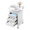 Salon Trolley Cart for Beauty SPA, Beauty Salon Stand Rolling Cart 3 Tier SPA Beauty Machine Holder Trolley+Drawer, Supply Holder for Massage Tattoo Facials for Beauty Shop, Spa, Barbershop, Home view 1