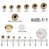 4240Pcs Brown Flatback Rhinestones 6 Sizes Crystal Diamonds for Nail Art Crafts Clothes Shoes with Tweezers and Picking Pen view 2