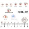 4240Pcs Transparent Ab Flatback Rhinestones 6 Sizes Crystal Diamonds for Nail Art Crafts Clothes Shoes with Tweezers and Picking Pen view 2