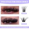 WENDY LASHES Clusters for Eyelash Extensions: 12-16mm Mixed, Ultra-light, Natural, Wispy, Waterproof, Cat Eye, DIY at Home, D Curl, Wendy, C3+C9, FD318 view 2