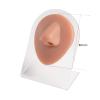 CHUANCI 8PCS/Lot Brown Color Soft Silicone Flexible Nose Navel Model For Piercing Human Mouth Eye Tongue Model Simulation For Jewelry Display Teaching tool view 2