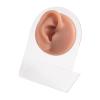 CHUANCI 8PCS/Lot Brown Color Soft Silicone Flexible Nose Navel Model For Piercing Human Mouth Eye Tongue Model Simulation For Jewelry Display Teaching tool view 3