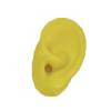 GatherTOOL 1Pc New Silicone Ear Model Practice Piercing Tools Ear Stud Display Tool Body Jewelry Model (Color : Yellow-Right) view 1