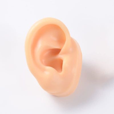 GatherTOOL 1Pc New Silicone Ear Model Practice Piercing Tools Ear Stud Display Tool Body Jewelry Model (Color : Skin Color-Left)