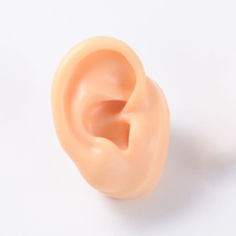 GatherTOOL 1Pc New Silicone Ear Model Practice Piercing Tools Ear Stud Display Tool Body Jewelry Model (Color : Skin Color-Left)