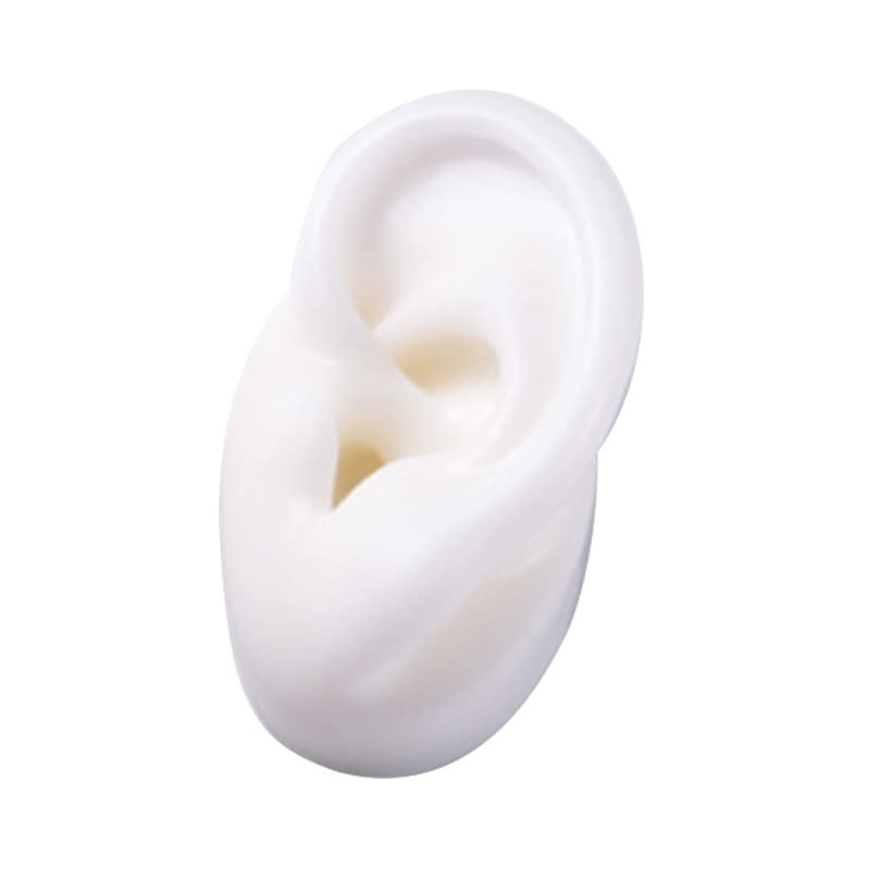 GatherTOOL 1Pc New Silicone Ear Model Practice Piercing Tools Ear Stud Display Tool Body Jewelry Model (Color : White-Right)