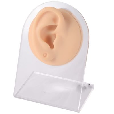 GatherTOOL 1PC Silicone Model Tattoo Puncture Practice Simulation Human Body Part Display Ear Nose Lip Navel Tongue Piercing Jewelry (Color : Skin Ear with Hole-R)