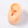 GatherTOOL 1Pc New Silicone Ear Model Practice Piercing Tools Ear Stud Display Tool Body Jewelry Model (Color : Skin Color-Right) view 1
