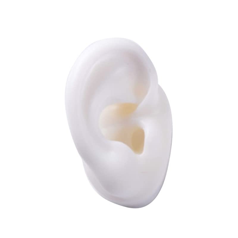GatherTOOL 1Pc New Silicone Ear Model Practice Piercing Tools Ear Stud Display Tool Body Jewelry Model (Color : White-Left)