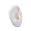 GatherTOOL 1Pc New Silicone Ear Model Practice Piercing Tools Ear Stud Display Tool Body Jewelry Model (Color : White-Left) view 1