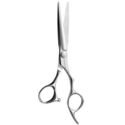 AOLANDUO Pro-Tuned Barber Scissors 6" VG10 Steel, All-Day Comfort Design, Convex Edge, Smooth Bearing, for Daily Salon Use 1 Count