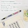Akashiya AZ-17SAWI-5 Copying Sutra Set, Brush Pen, New Hair Brush, Ancient City, Healing, Big Pink Flower view 2