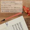 Akashiya AZ-17SAWD-4 Copying Sutra Set, Brush Pen, New Hair Brush, Ancient Den, Red view 2