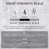 ENVIRONMENT Inspired by 5-Star Resort EDT Hand Soap, 300ml Luxury Liquid Hand Soap (Blonde Woods | Rose | Black Fig) Home Essentials, Kitchen & Bathroom Soap, Hand Wash, Vegan & Cruelty-Free view 4