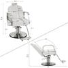 BarberPub Salon Chair for Hair Stylist, All Purpose Hydraulic Barber Styling Chair, Beauty Spa Equipment 8548 (White) view 3