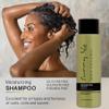Sunny Isle Shea Coconut Moisturizing Shampoo and Conditioner 12oz Bundle | with Jamaican Black Castor Oil | Curly Hair Care | Hydration for Dry Curls, Waves, Coils | Silicone, Paraben & Sulfate FREE view 2