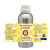 Devprayag Parsley Seed Essential Oil (Petroselinum crispum) Pure | Non-Sticky | Non-Greasy | Lightweight | Men & Women | All Skin Types | Steam Distilled 1250ml (42 oz) view 2