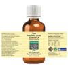 Devprayag Holy Basil (Tulsi) Essential Oil (Ocimum Sanctum) Pure | Non-Sticky | Non-Greasy | Lightweight | Men & Women | All Skin Types | Steam Distilled 50ml (1.69 oz) view 2