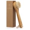 CSM Lymphatic Contour Face Brush - Natural Bristle Dry Brush for Face, Neck & Chest - Mini Facial Lymphatic Drainage Brush for Gentle Exfoliation view 1