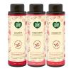 ecoLove  Natural Shampoo, Conditioner & Moisturizing Body Wash, for Normal and Oily Hair - With Organic Tomato and Beet Extract No SLS or Parabens - Vegan and Cruelty-Free view 1