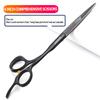 Professional 5.5/6/6.5 Inch Hairdresser Scissors Salon Hairdresser Scissors Japan Stainless Steel Scissors (6in 2pc-B) view 3