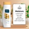 ABOVE Moisture Shampoo, 11 oz - Moisturizing Shampoo for Men and Women - Restores Shine and Softness - Shea Butter, Bamboo Oil - No Frizz, Split Ends view 4
