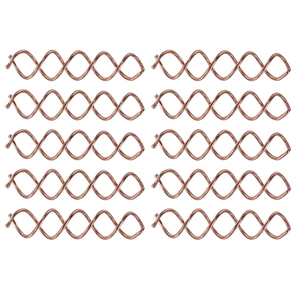 Lurrose 10pcs Rose Gold Spiral Hair Clips for Bun Styles Hair Lightweight Compact Design