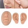 Silicone Ear Model Novice Simulated Display, Soft Flexible Model Body Part Displays, Fake Nose, Authentic Modeling Practical Silicone Ear Model, 3D Nose and Mouth Model Ear Care(Medium Skin Color) view 2