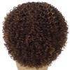 LUXLUXE Imani Curly Short Bob 14.5 in Long Lace Front Wig, Heat Resistant Fibers, Multiple Shades of Natural, Dip Dyed, & Blended Colors view 4