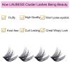 Cluster Lashes Individual Lashes D Curl Lash Clusters Volume Eyelash Clusters DIY Lash Extension Kit Fluffy Cluster Eyelash Extensions (02-0.07D,16mm) view 4