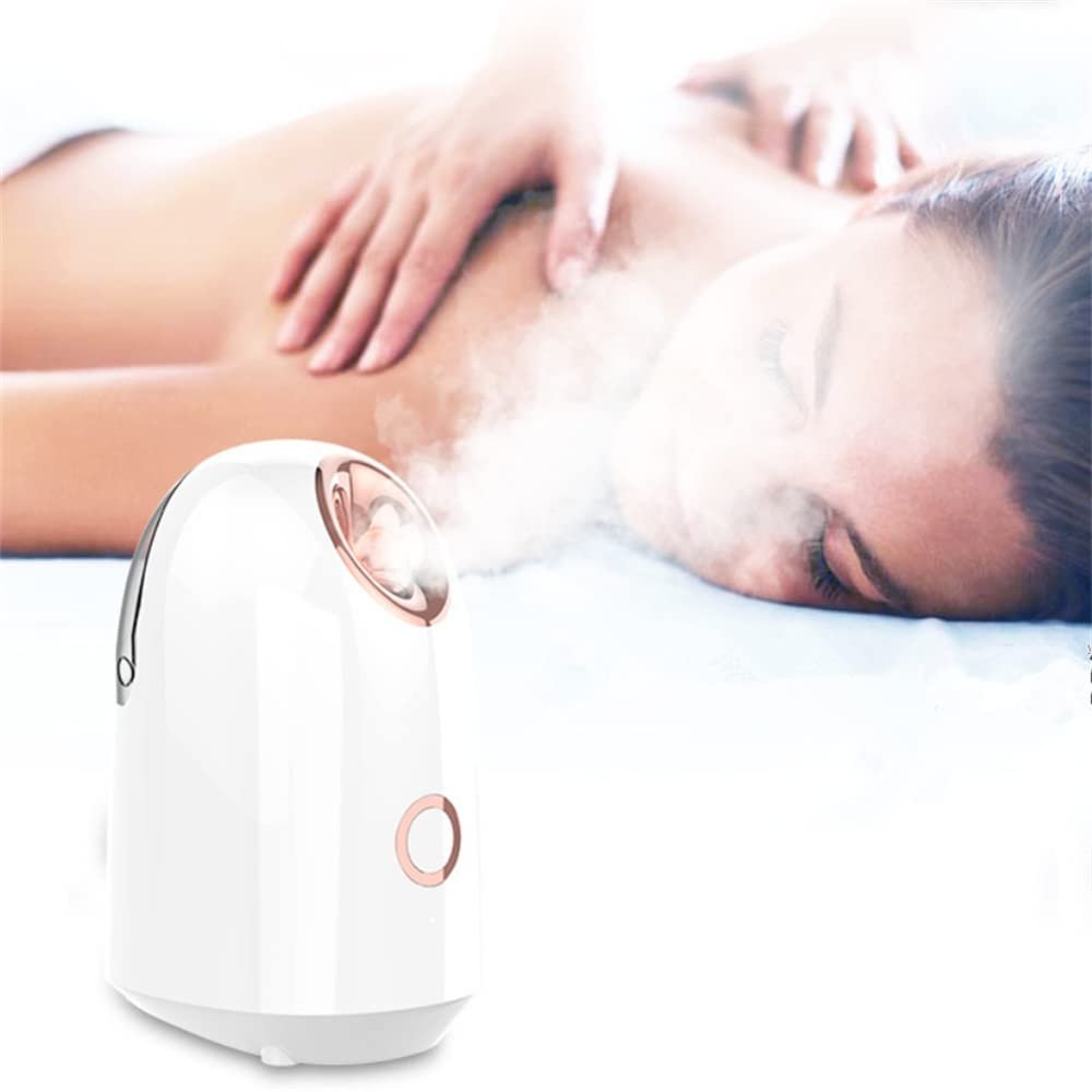 Hot Spray Face Steamer Nano Vapour Ion Facial Humidifier Face SPA Moisturizing Hydrating Beauty Device