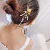 Fashionable Dried Flowers With Long Tassels Hair Sticks Fashion Metal Hair Pins Stick Bun Chopsticks Hair Accessories For Women Bun view 2