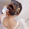 Fashionable Dried Flowers With Long Tassels Hair Sticks Fashion Metal Hair Pins Stick Bun Chopsticks Hair Accessories For Women Bun view 3
