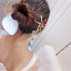 Fashionable Dried Flowers With Long Tassels Hair Sticks Fashion Metal Hair Pins Stick Bun Chopsticks Hair Accessories For Women Bun view 2