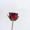 Fashion Immortal Flower Rose Hair Sticks Fashion Metal Hair Pins Stick Bun Chopsticks Hair Accessories For Women Bun view 2