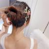 Fashionable Dried Flowers With Long Tassels Hair Sticks Fashion Metal Hair Pins Stick Bun Chopsticks Hair Accessories For Women Bun view 4