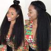 26 Inches Kinky Straight Yaki Cuticle Aligned Virging Hair Human Hair Lace 13x6 Front Wig Raw Brazilian lace Wig view 1