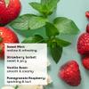 eos 100% Natural & Organic Lip Balm Sticks- Strawberry Sorbet, Vanilla Bean, Sweet Mint & Pomegranate Raspberry, Lip Care Products, 0.14 oz, 4-Pack view 2
