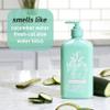 Hempz Body Lotion - Cucumber & Aloe Herbal Limited Edition Daily Moisturizing Cream, Shea Butter, Aloe, Cucumber Extract Body Moisturizer - Skin Care Products, Hemp Seed Oil - 17 Fl Oz view 4
