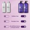 Botanic Hearth Curly Hair Shampoo And Conditioner Set For Curly Hair | Detangle, Define & Enhance Curls | With Jojoba Oil & Vitamin E | Sulphate Free | 16 Fl Oz X 2 view 4
