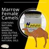 Marrow Female Camels For Silky Smooth Hair With Shea Butter And Natural Oils (1 Pack = 6.35 oz / 180 gm) view 4