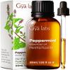 Organic Atlas Cedarwood Essential Oil for Hair (0.34 Fl Oz) & Peppermint Oil for Hair (1.02 Fl Oz) Set - Aromatherapy Grade Essential Oils Set - Gya Labs view 3