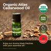 Organic Atlas Cedarwood Essential Oil for Hair (0.34 Fl Oz) & Peppermint Oil for Hair (1.02 Fl Oz) Set - Aromatherapy Grade Essential Oils Set - Gya Labs view 4