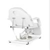 Eastmagic Electric Facial Chair for Esthetician Spa Table Height Adjustable Beauty Bed for Face Care, Eyelash, Tattoo view 3