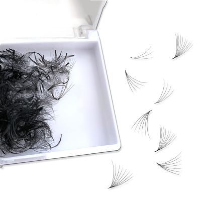 CHIREF Promade Fans Handmade Volume Eyelash Extensions Supplies 3D To 10D | C D Curl | Thickness 0.07 mm | 11-16mm Length | Long Lasting | Easy Application (4D-0.07 D 11 mm)
