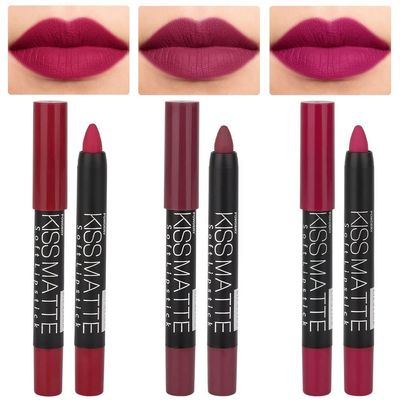 evpct 3Pcs Plum Purple Wine Red Matte Lip Sticks Crayon Lip Liner Lipstick Pencil Set for Women Long Lasting 24 Hour Waterproof Lip Liner and Lipstick Set labiales mate 24 horas originales 02&12&14