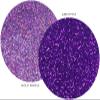 MARBLERS Twinkle Face & Body Glitter Duo [Holo Purple & Amethyst] 0.36oz (10g) | Non-Toxic | Cruelty-Free | Eyeshadow, Nail Polish, Nail Art | Festival, Rave & Party Makeup | Nail Art | Gel Nail view 2